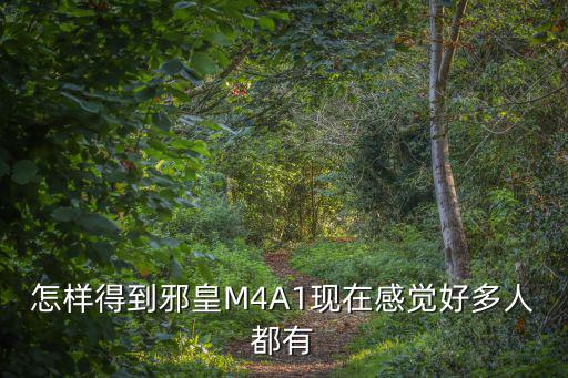 怎样得到邪皇M4A1现在感觉好多人都有