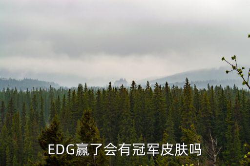 edg赢了怎么领皮肤手游，EDG赢了会有冠军皮肤吗