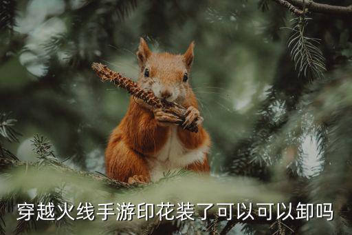 穿越火线手游印花装了可以可以卸吗