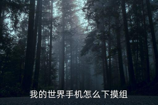 我的世界手机怎么下摸组