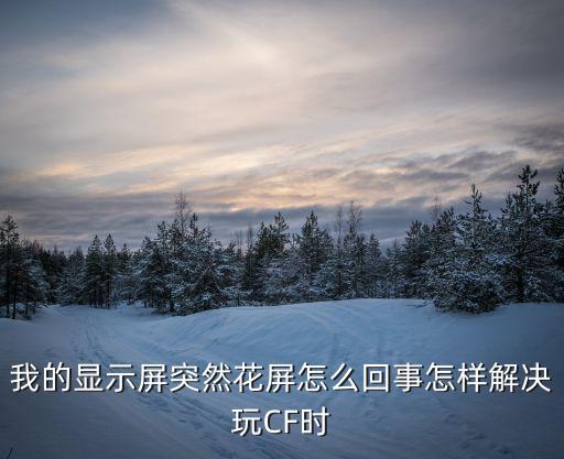 我的显示屏突然花屏怎么回事怎样解决玩CF时