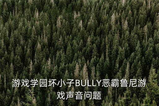 游戏学园坏小子BULLY恶霸鲁尼游戏声音问题