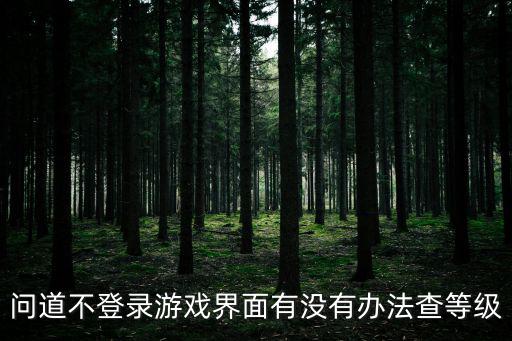 问道不登录游戏界面有没有办法查等级