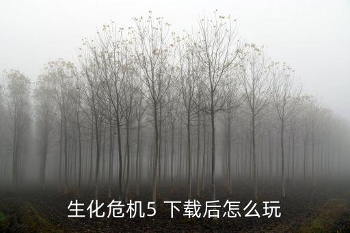 生化危机5 下载后怎么玩