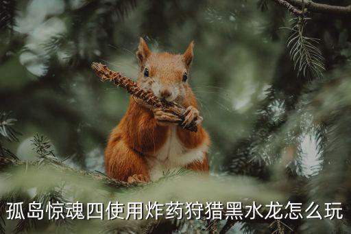 孤岛惊魂四使用炸药狩猎黑水龙怎么玩