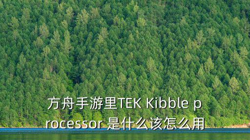 方舟手游里TEK Kibble processor 是什么该怎么用