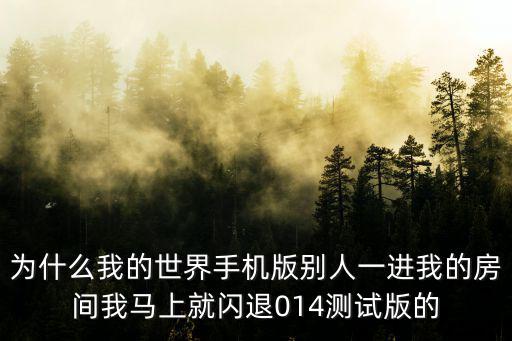 为什么我的世界手机版别人一进我的房间我马上就闪退014测试版的