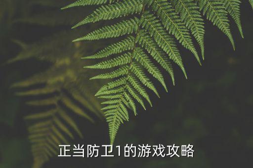 正当防卫1的游戏攻略