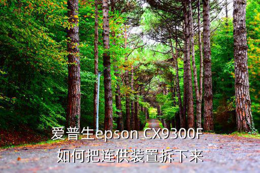 爱普生epson CX9300F 如何把连供装置拆下来