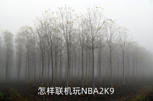 怎样联机玩NBA2K9