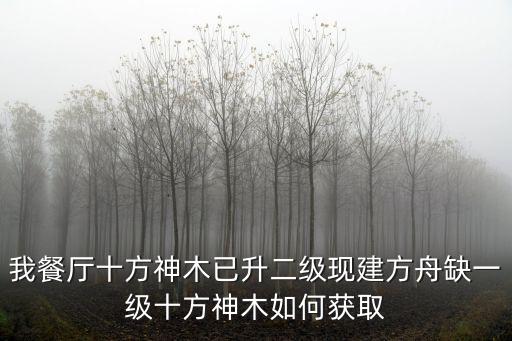 怎么做方舟手游琥珀商人，方舟手游猎人的致敬怎么完成