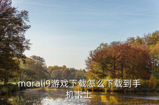 morali9游戏下载怎么下载到手机卡上