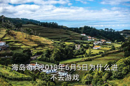 海岛奇兵2018年6月5日为什么进不去游戏