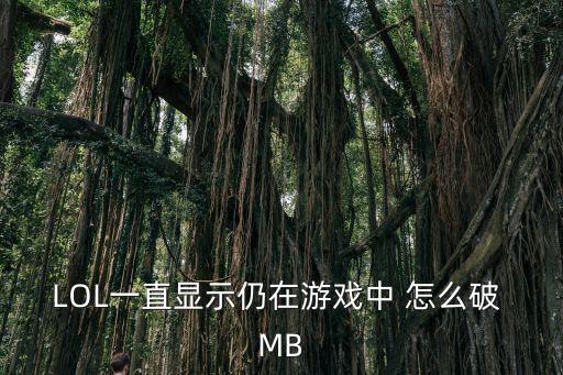 LOL一直显示仍在游戏中 怎么破 MB