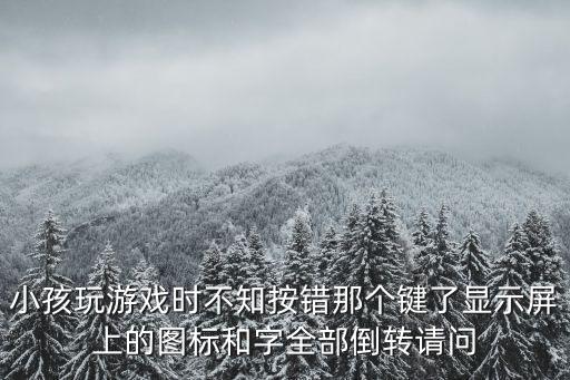 小孩玩游戏时不知按错那个键了显示屏上的图标和字全部倒转请问