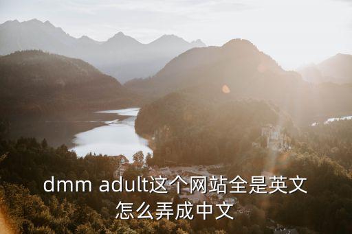 dmm adult这个网站全是英文怎么弄成中文