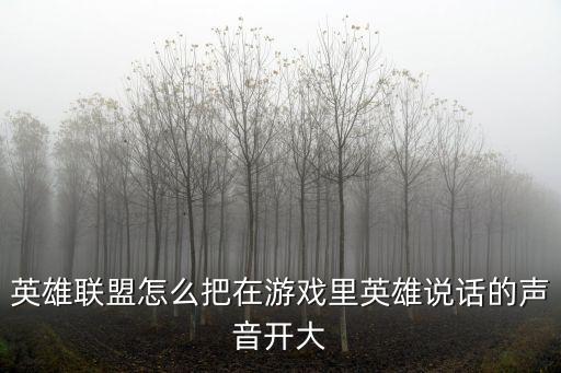 英雄联盟怎么把在游戏里英雄说话的声音开大