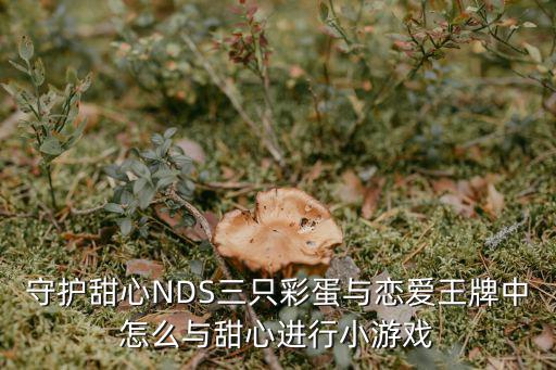 守护甜心NDS三只彩蛋与恋爱王牌中怎么与甜心进行小游戏