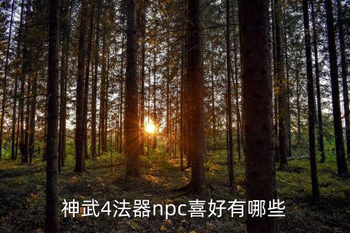 神武4法器npc喜好有哪些