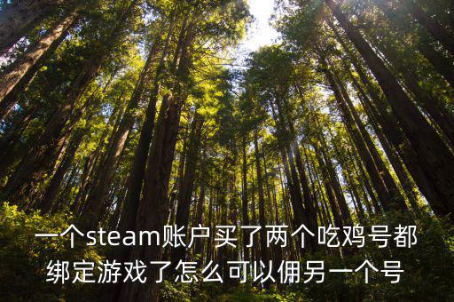 一个steam账户买了两个吃鸡号都绑定游戏了怎么可以佣另一个号