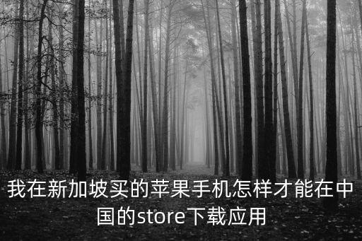 我在新加坡买的苹果手机怎样才能在中国的store下载应用