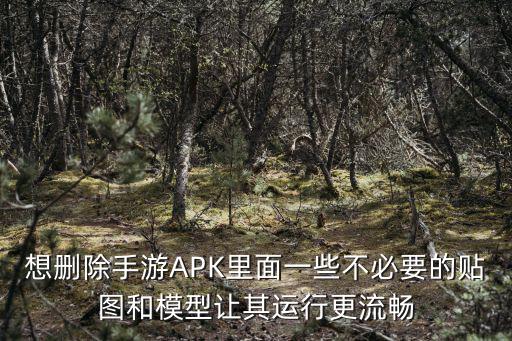 想删除手游APK里面一些不必要的贴图和模型让其运行更流畅