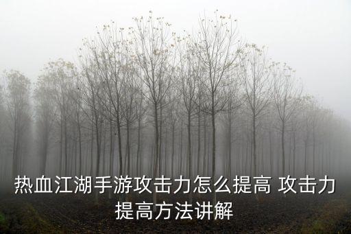 热血江湖手游怎么提高角色技能，热血江湖手游刺客职业怎么提升战力