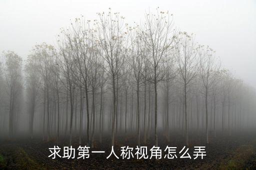 求助第一人称视角怎么弄