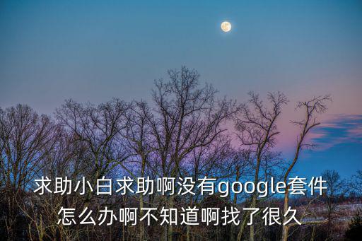 求助小白求助啊没有google套件怎么办啊不知道啊找了很久