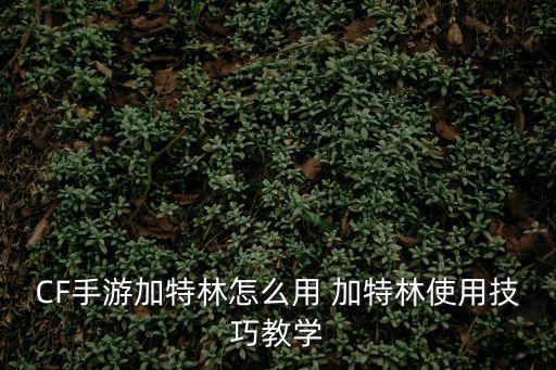 CF手游加特林怎么用 加特林使用技巧教学