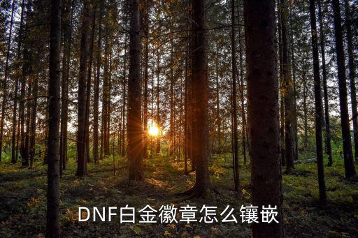 dnf韩服手游白金徽章怎么用，dnf白金徽章怎么用