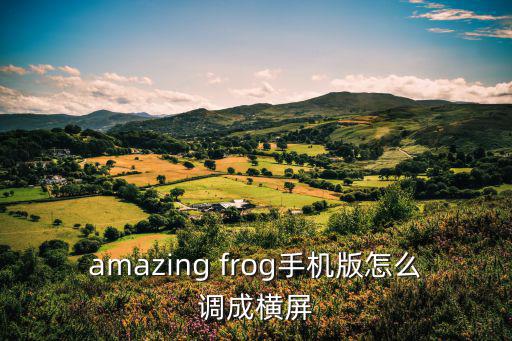 amazing frog手机版怎么调成横屏