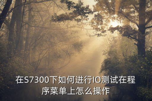 在S7300下如何进行IO测试在程序菜单上怎么操作