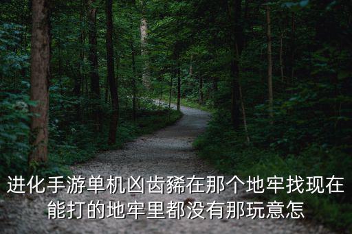 进化手游单机凶齿豨在那个地牢找现在能打的地牢里都没有那玩意怎