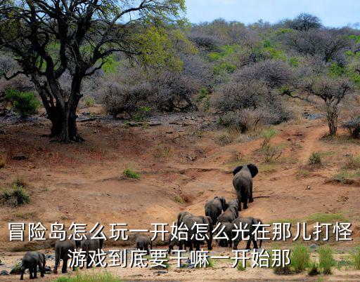 冒险岛怎么玩一开始怎么光在那儿打怪游戏到底要干嘛一开始那