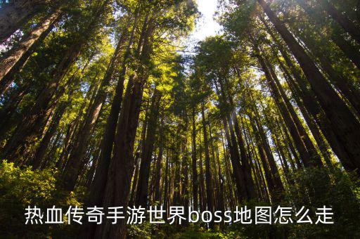 热血传奇手游世界boss地图怎么走