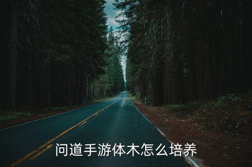 问道手游体木怎么培养