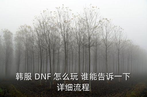 韩服 DNF 怎么玩 谁能告诉一下详细流程