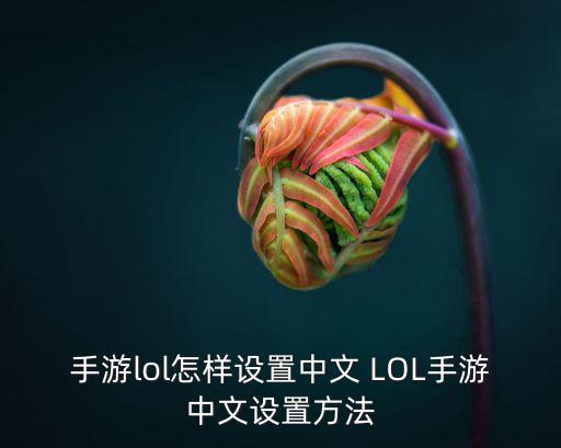 手游lol全球服怎么汉化，英雄联盟手游怎么设置中文