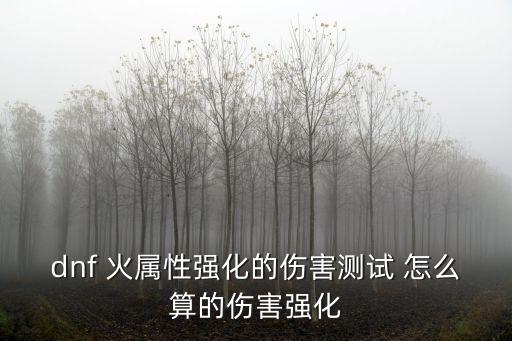 dnf 火属性强化的伤害测试 怎么算的伤害强化