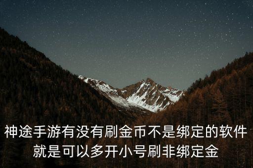 神途手游有没有刷金币不是绑定的软件就是可以多开小号刷非绑定金