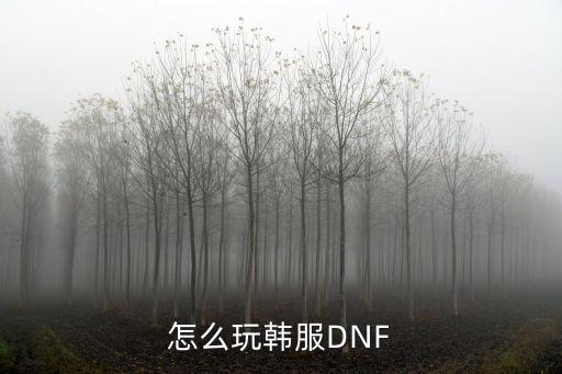 怎么玩韩服DNF