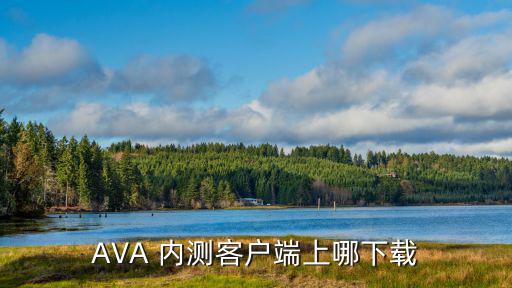 AVA 内测客户端上哪下载