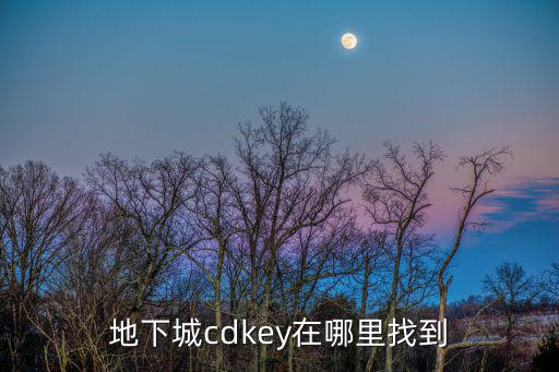 地下城cdkey在哪里找到