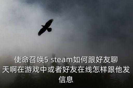 使命召唤5 steam如何跟好友聊天啊在游戏中或者好友在线怎样跟他发信息