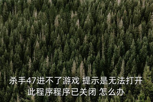 杀手47进不了游戏 提示是无法打开此程序程序已关闭 怎么办