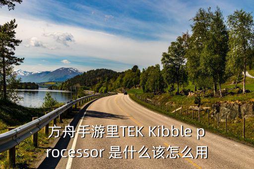 方舟手游里TEK Kibble processor 是什么该怎么用