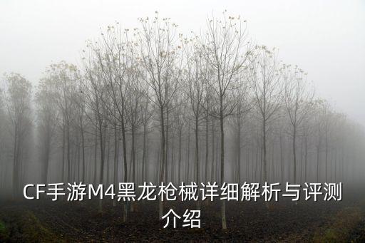 CF手游M4黑龙枪械详细解析与评测介绍