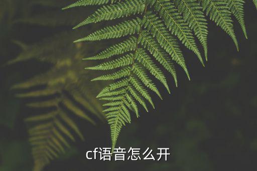 cf语音怎么开