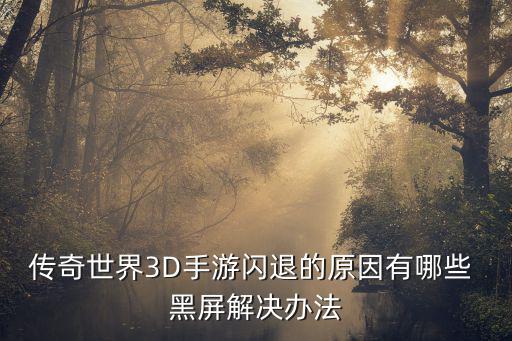 传奇世界3D手游闪退的原因有哪些 黑屏解决办法